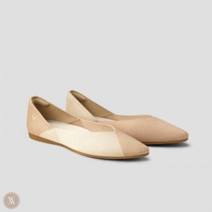 Beige Brown VIVAIA Valencia Women's Pointed-Toe V-Cut Flats - PTC-9421