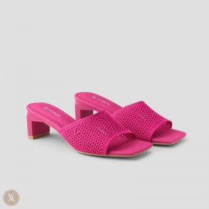 Pitaya Mesh VIVAIA Juliet Women's Square-Toe Block Heel Slide - TDO-7262