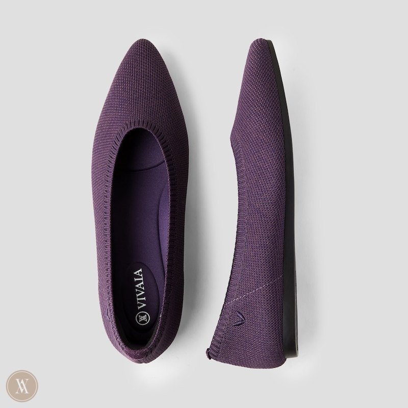 Eggplant VIVAIA Aria 5° Women\'s Pointed-Toe Ballet Flats - SNM-6613