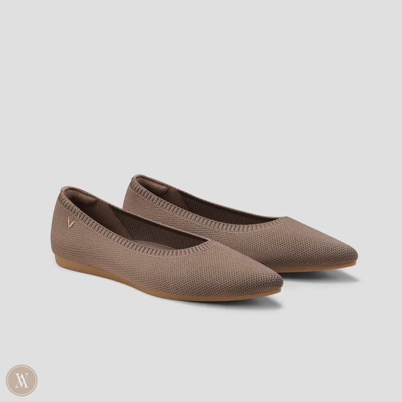 Espresso VIVAIA Aria 5° Women\'s Pointed-Toe Ballet Flats - YGR-0324